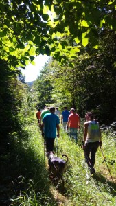 NORDIC WALKING (6)